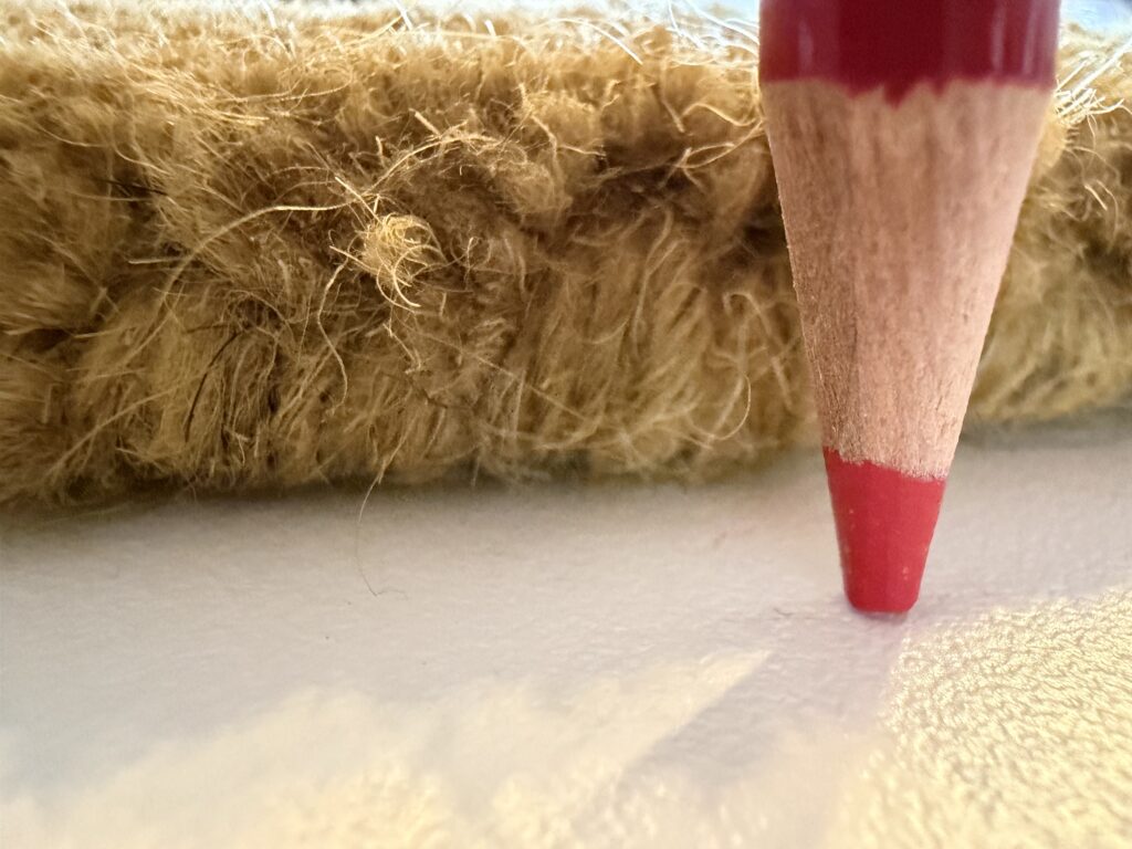 サイズ比較のために色鉛筆を一緒に撮ってみました。